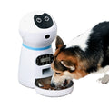 Futterautomat für Hunde