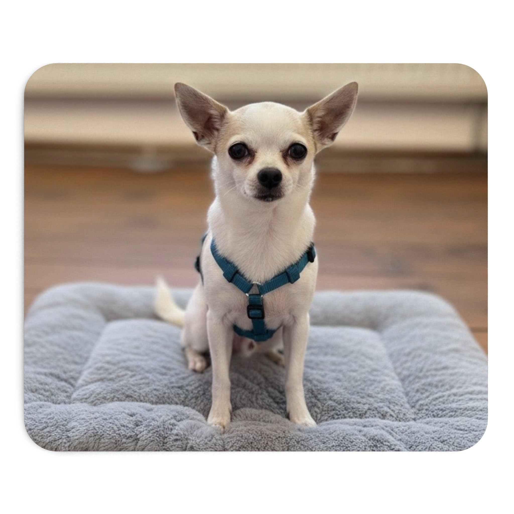 Personalisierbares Hundefoto Mauspad