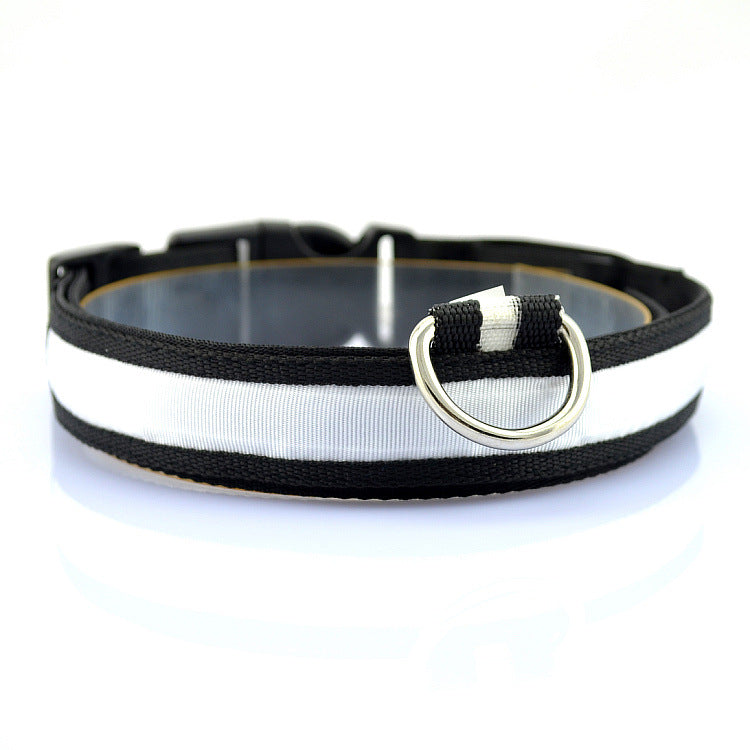 LED-Halsband für Haustiere (Hunde, Katzen) – verstellbare Größe – USB-Ladefunktion
