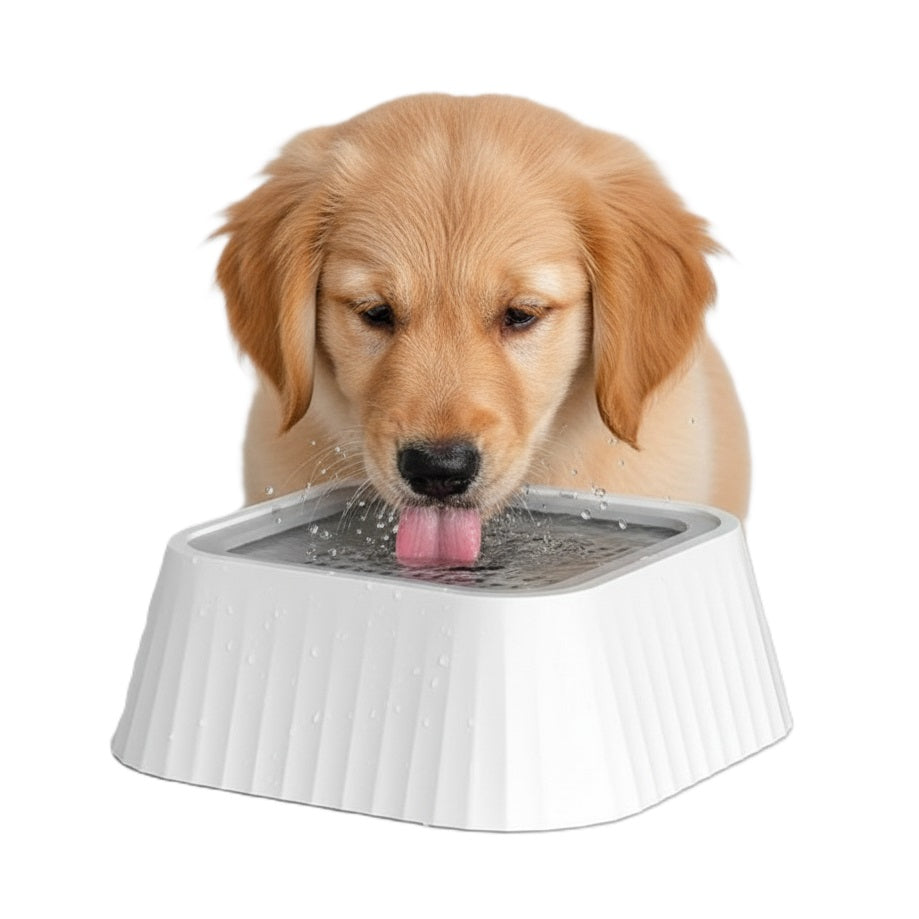 Schwimmender Napf für hygienisches Trinken für Hunde