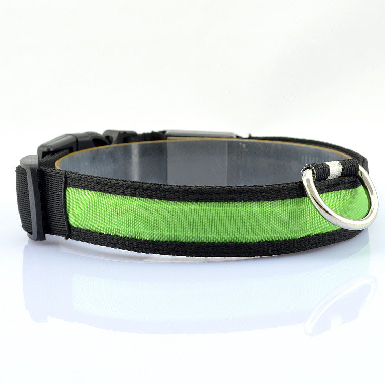 LED-Halsband für Haustiere (Hunde, Katzen) – verstellbare Größe – USB-Ladefunktion