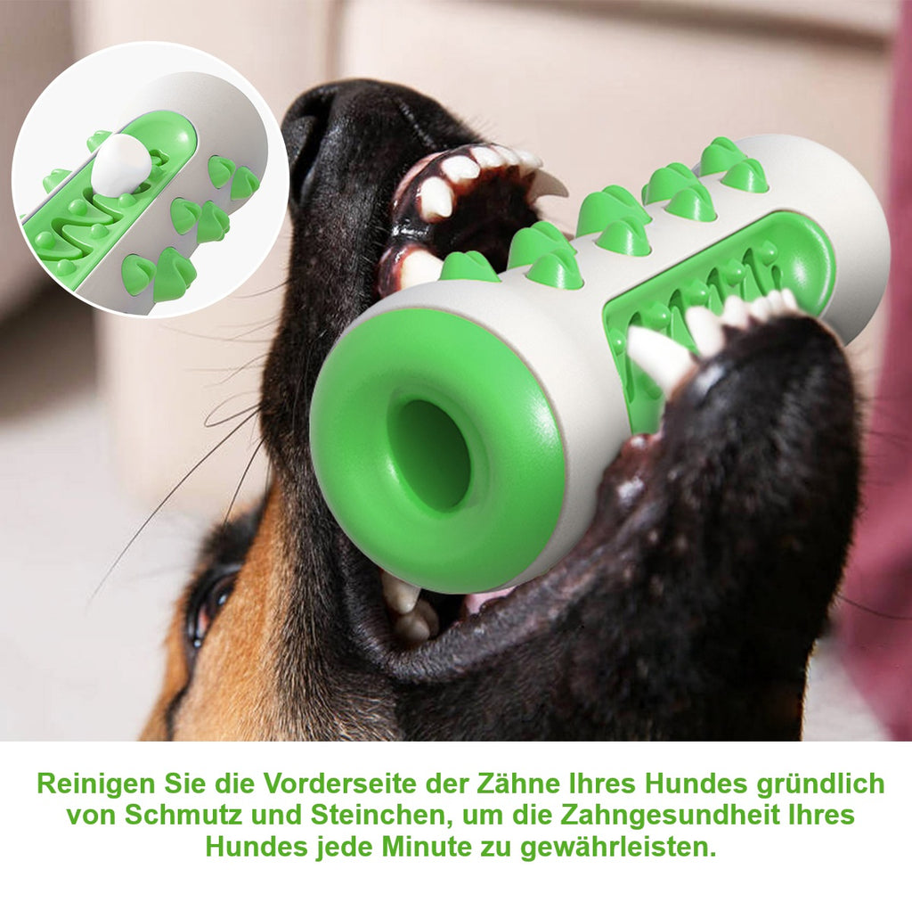 Bissfestes Hundespielzeug mit Zahnpflegefunktion