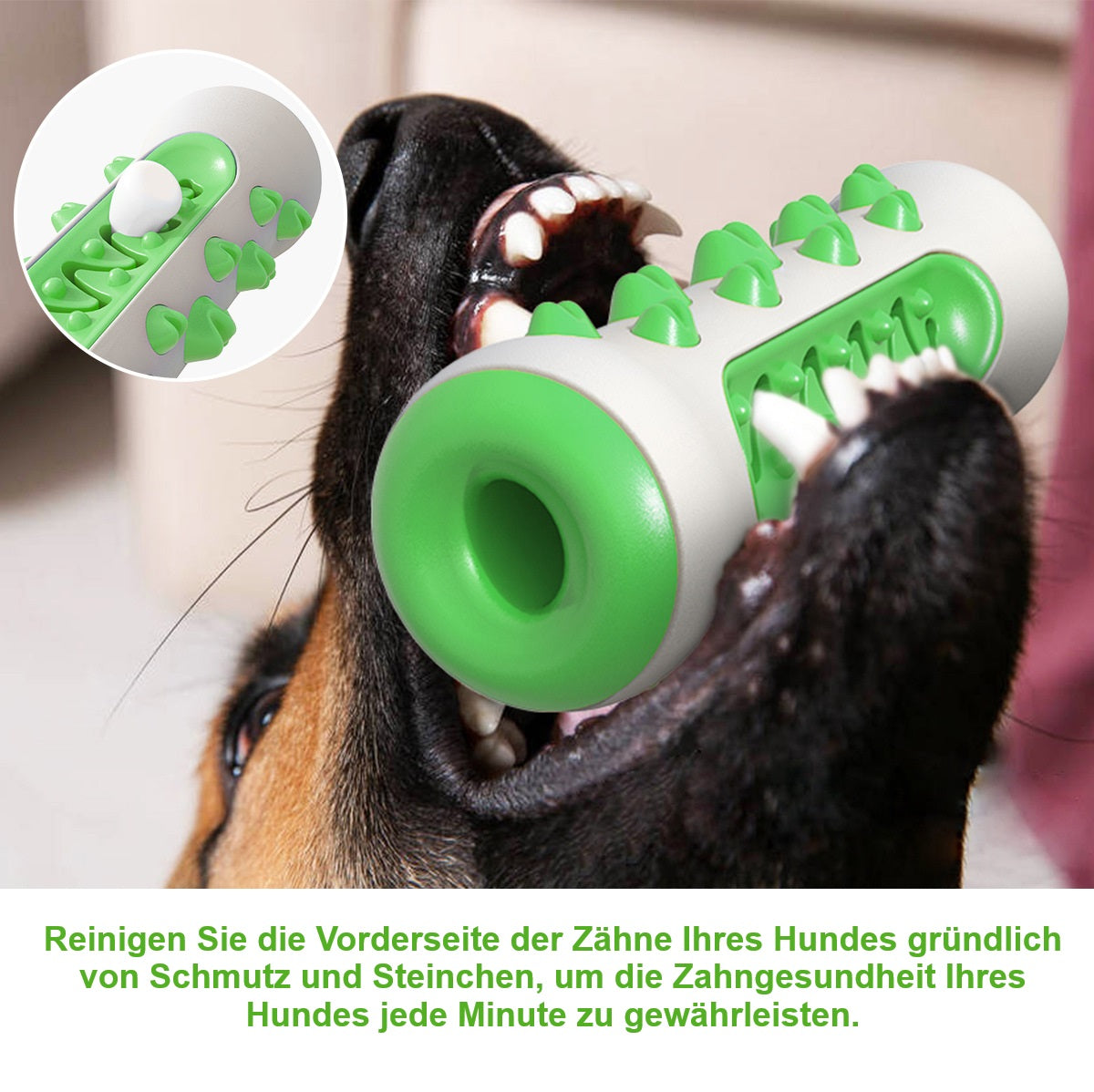 Bissfestes Hundespielzeug mit Zahnpflegefunktion