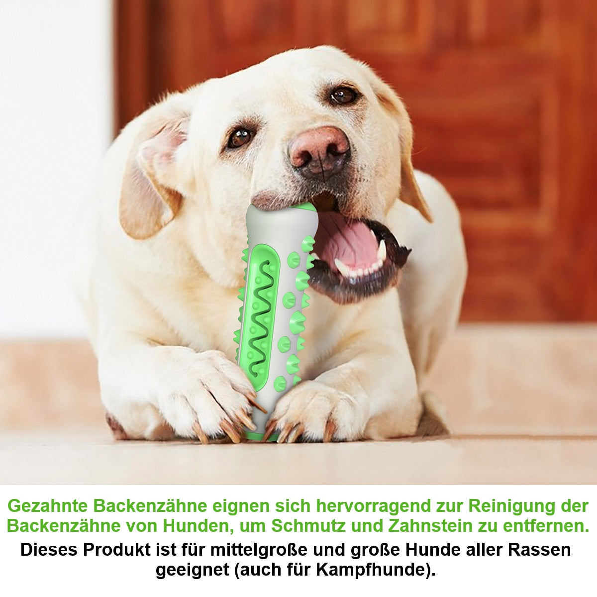 Bissfestes Hundespielzeug mit Zahnpflegefunktion