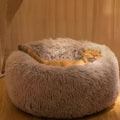Haustierbett für kleine und mittelgroße Katzen, Schlafsofa