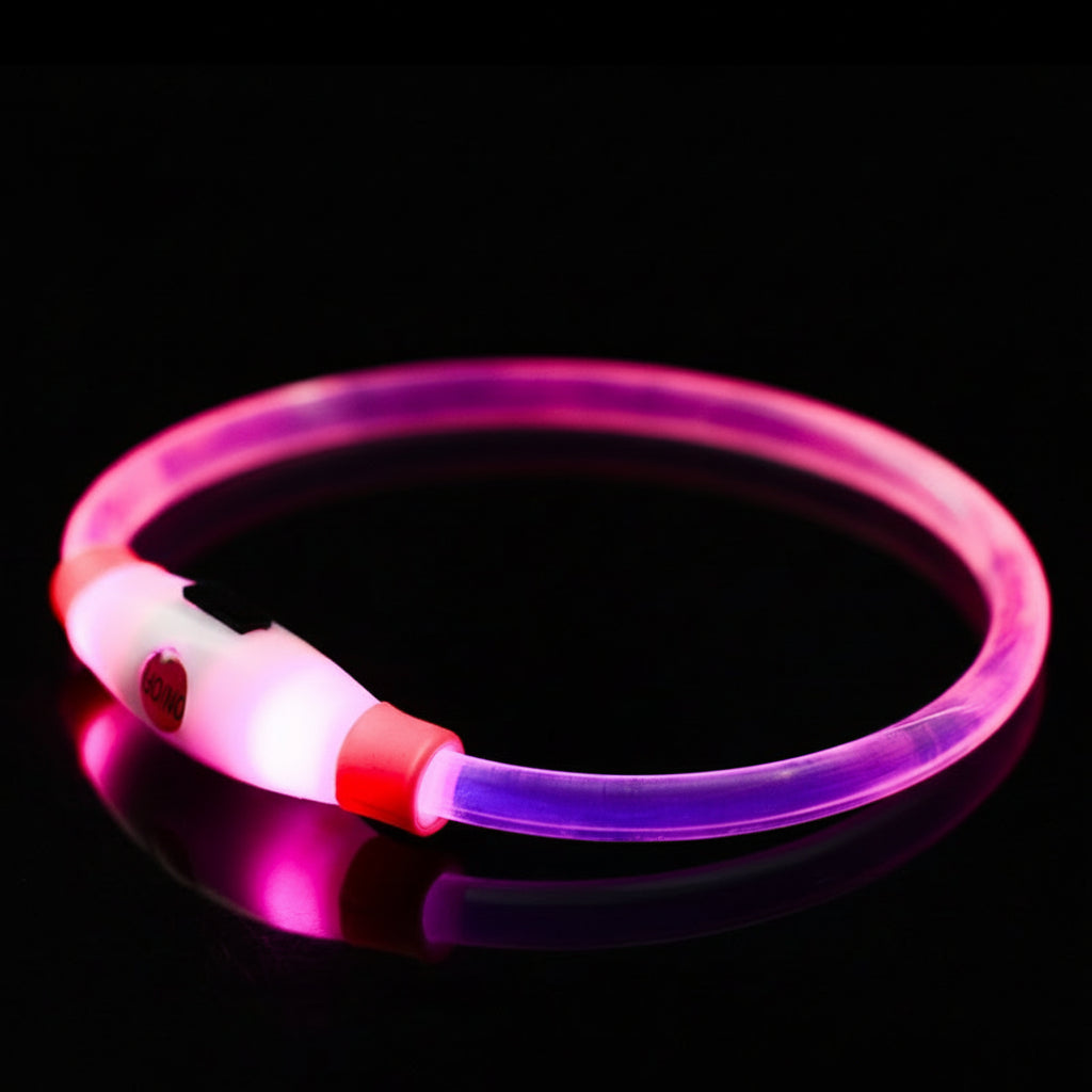Leuchtendes Hundehalsband, Haustierhalsband, LED, USB-aufladbar