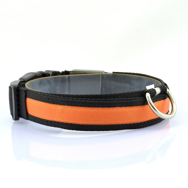 LED-Halsband für Haustiere (Hunde, Katzen) – verstellbare Größe – USB-Ladefunktion