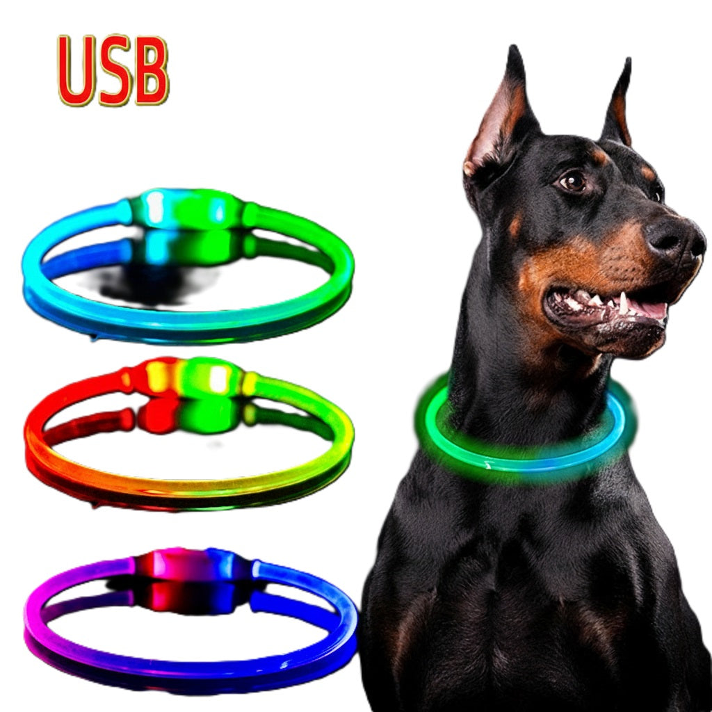 Leuchtendes Hundehalsband, Haustierhalsband, LED, USB-aufladbar