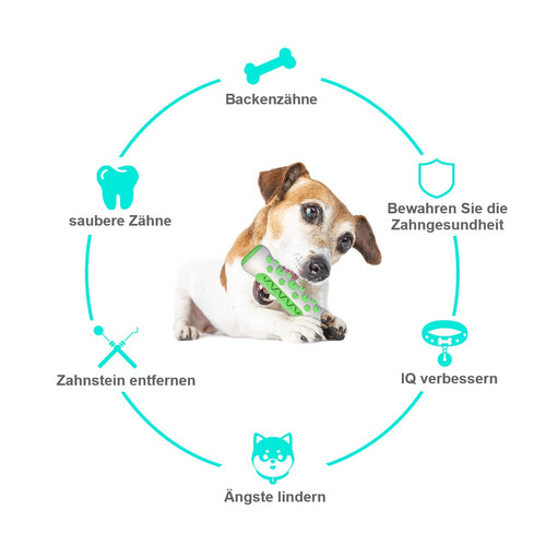 Bissfestes Hundespielzeug mit Zahnpflegefunktion