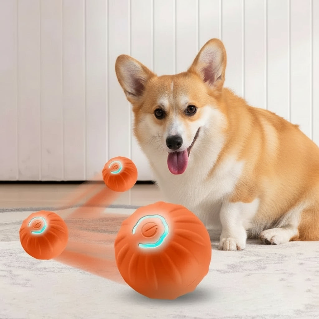 Springball für Hunde, Hundespielzeug