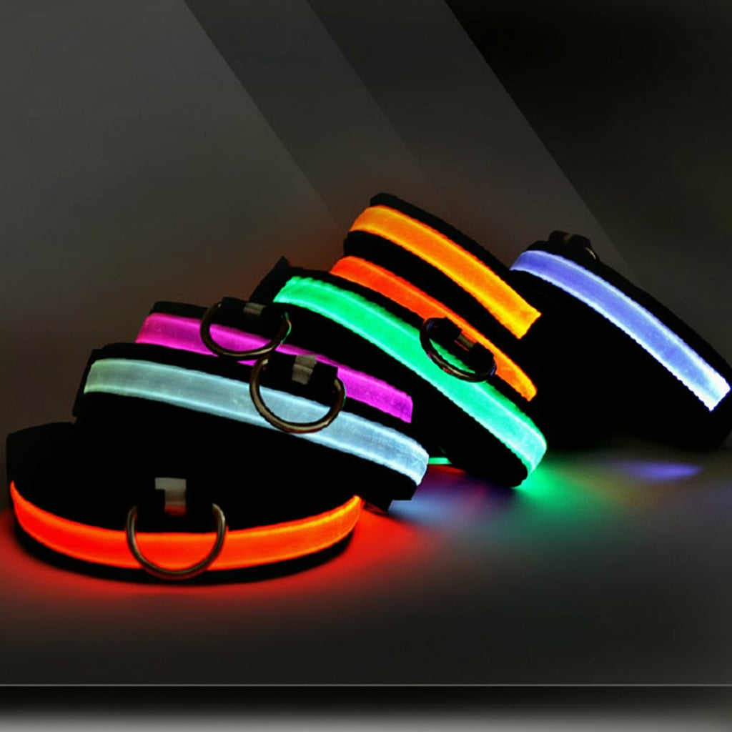 LED-Halsband für Haustiere (Hunde, Katzen) – verstellbare Größe – USB-Ladefunktion