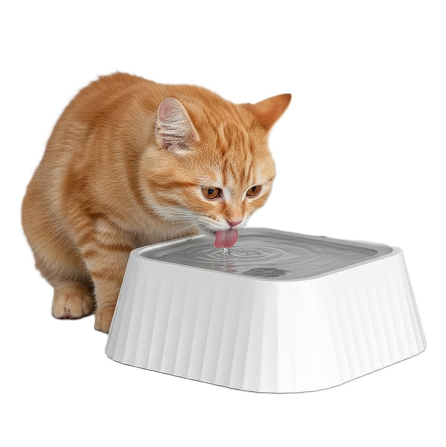 Schwimmender Napf für hygienisches Trinken für Katzen
