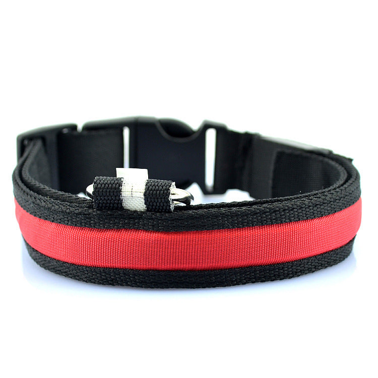 LED-Halsband für Haustiere (Hunde, Katzen) – verstellbare Größe – USB-Ladefunktion